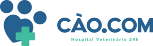 Cao com novo
