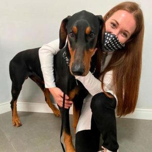 Dra camila hoffmann veterinaria em hospital